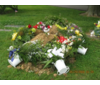 Memorial Day 2009